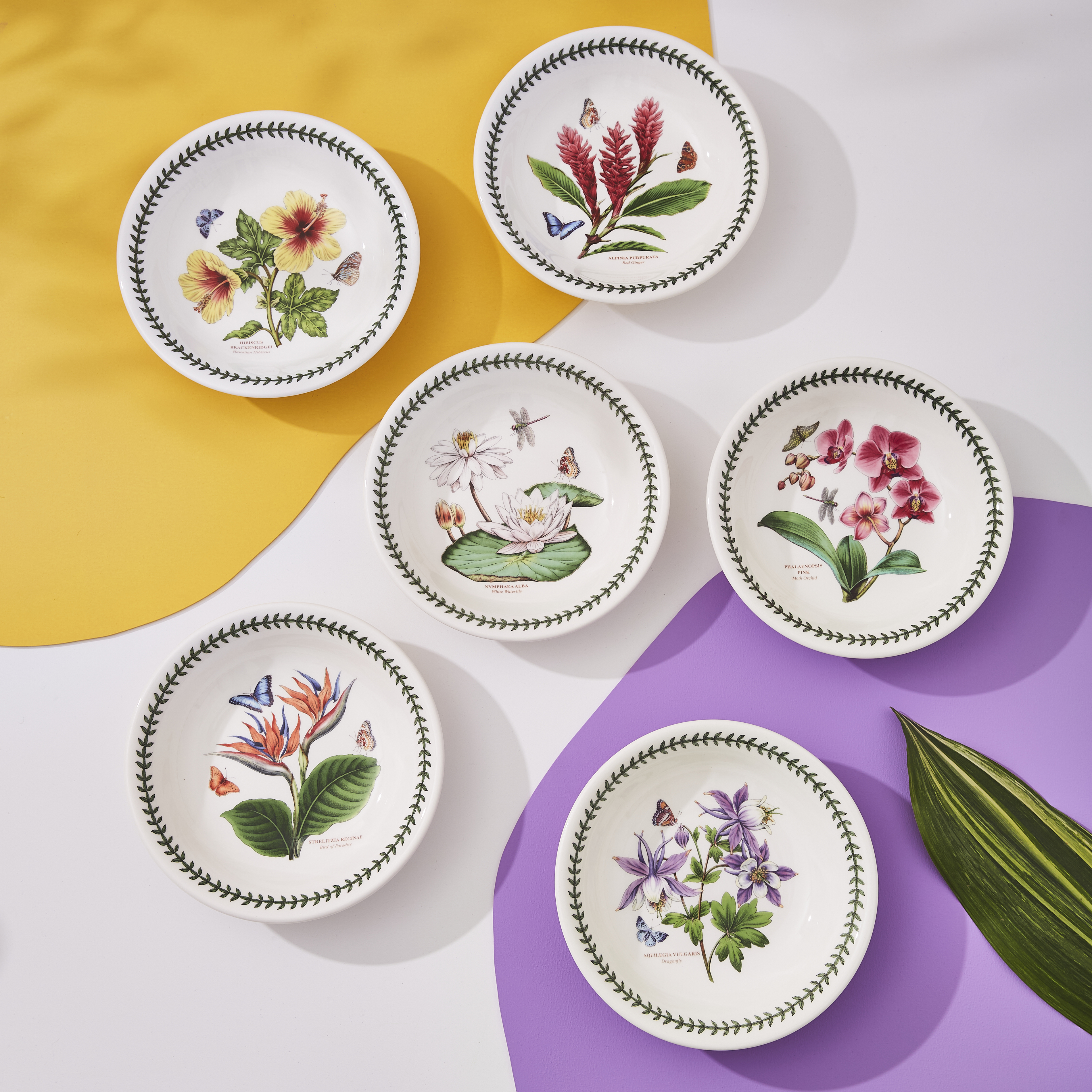 Exotic Botanic Garden Set of 6 Pasta Bowls image number null